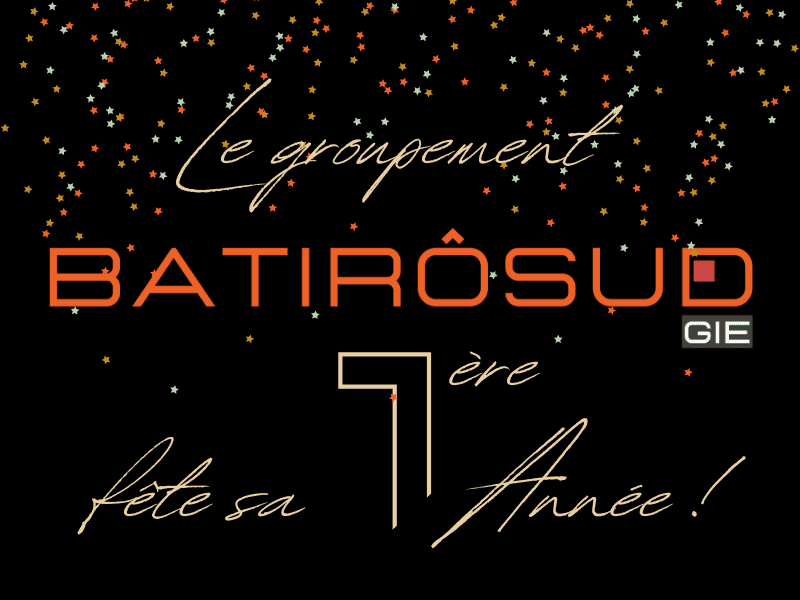 batirosud groupement batiment